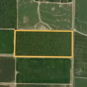 Land